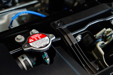 Radiator cap